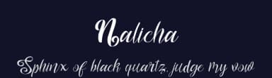 Nalicha by Nur Solikh — Script Handwritten Font — thumbnail 2