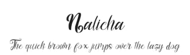 Nalicha by Nur Solikh — Script Handwritten Font — thumbnail 1