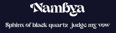 Nambya by Dharmas Foundry — Sans Serif Font — thumbnail 2
