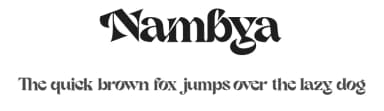 Nambya by Dharmas Foundry — Sans Serif Font — thumbnail 1
