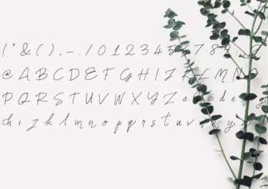 Names Font by lunarctic — Script Handwritten Font — thumbnail 2