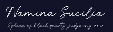 Namina Sucilia by Typeline Studio — Script Handwritten Font — thumbnail 2