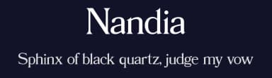 Nandia by UI Creative — Serif Font — thumbnail 2