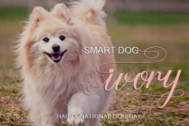 Naomi Font by utopiabrand19 — Script Handwritten Font — thumbnail 2