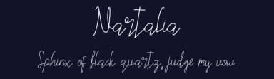 Nartalia by Hedi Miftah — Script Handwritten Font — thumbnail 2