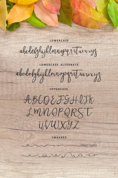 Nastar Font by Graphicfresh — Script Handwritten Font — thumbnail 4