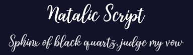 Natalic Script by Rastype — Script Handwritten Font — thumbnail 2
