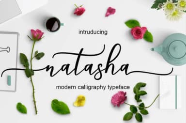 Natasha Script Font by Mrletters — Script Handwritten Font — thumbnail 1