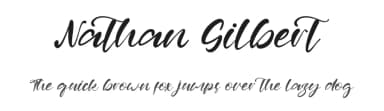 Nathan Gilbert by Kong Font — Script Handwritten Font — thumbnail 1