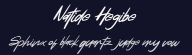 Natide Hegibe by Vunira Design — Script Handwritten Font — thumbnail 2