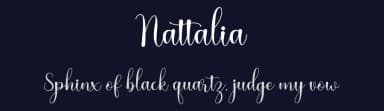 Nattalia by Fanastudio — Script Handwritten Font — thumbnail 2