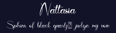Nattasia by Vincentius Kriswandono — Script Handwritten Font — thumbnail 2