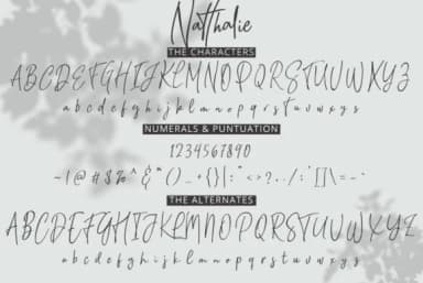 Natthalie Font by PointLab — Script Handwritten Font — thumbnail 8