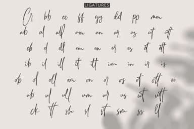 Natthalie Font by PointLab — Script Handwritten Font — thumbnail 9