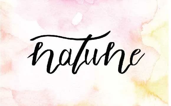 Natune Font by goodigital — Script Handwritten Font