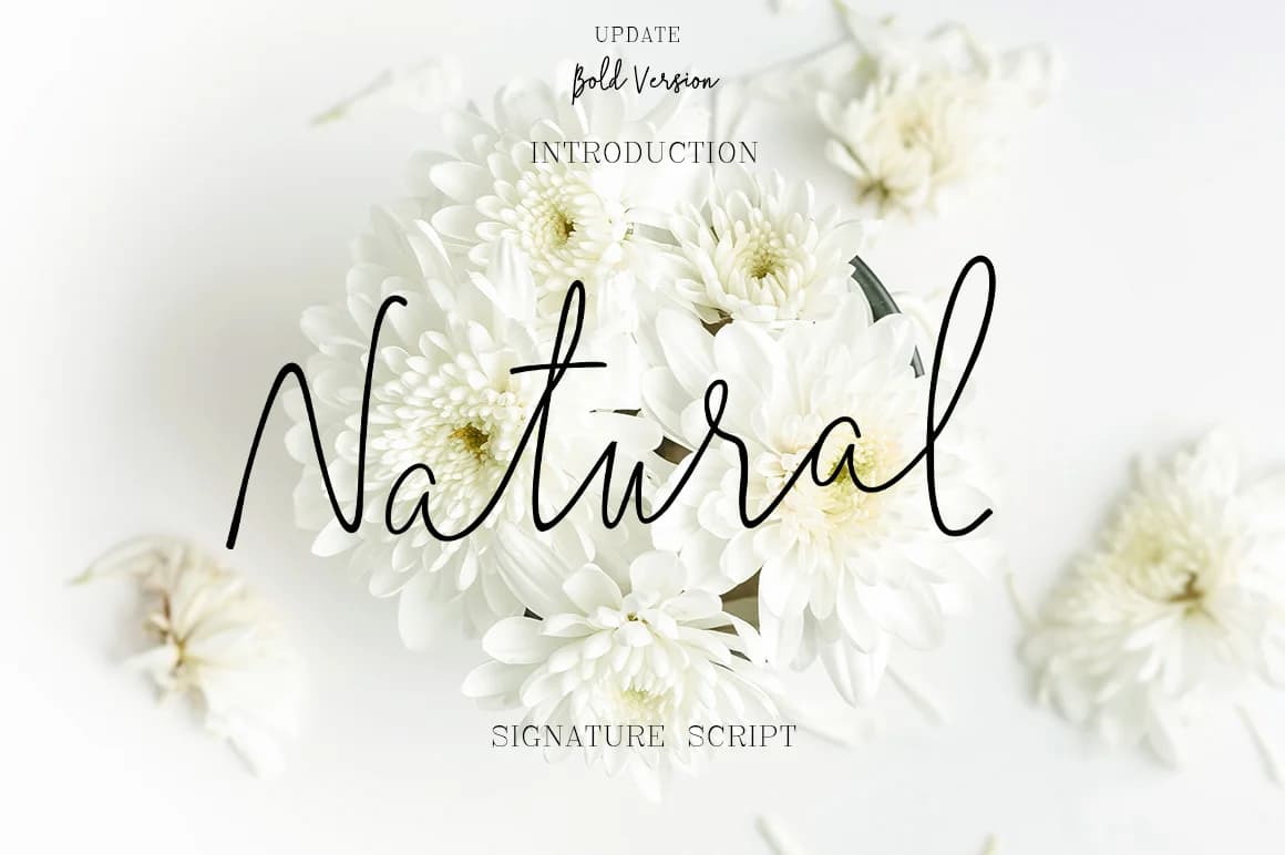 Natural Font by typehill — Script Handwritten Font