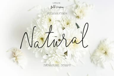 Natural Font by typehill — Script Handwritten Font — thumbnail 1