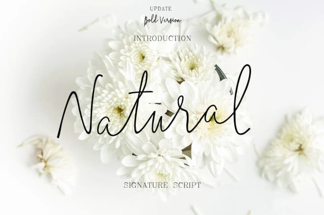Natural Font by typehill — Script Handwritten Font