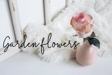 Natural Font by typehill — Script Handwritten Font — thumbnail 5