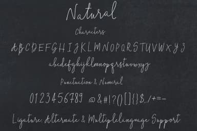 Natural Font by typehill — Script Handwritten Font — thumbnail 7