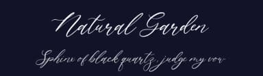 Natural Garden by Balpirick Studio — Script Handwritten Font — thumbnail 2