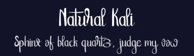 Natural Kali by Nico Muslib — Script Handwritten Font — thumbnail 2
