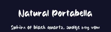 Natural Portabella by Eifetstype — Script Handwritten Font — thumbnail 2