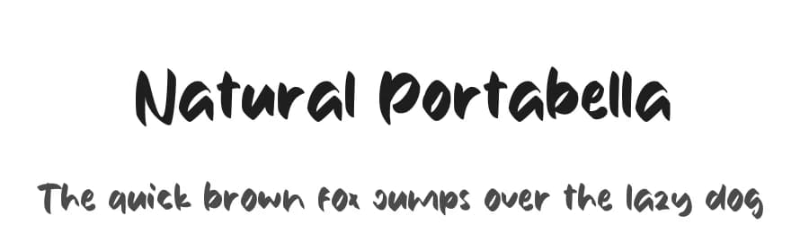 Natural Portabella by Eifetstype — Script Handwritten Font