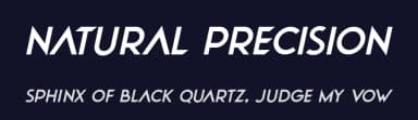 Natural Precision by Hawtpixel — Sans Serif Font — thumbnail 2