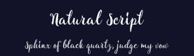 Natural Script by fontdroe — Script Handwritten Font — thumbnail 2