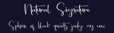Natural Signature by Erik Studio — Script Handwritten Font — thumbnail 2