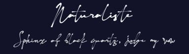 Naturaliste by Mozyen Studio — Script Handwritten Font — thumbnail 2