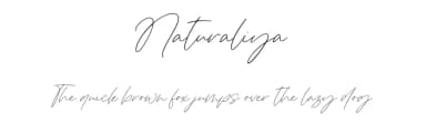 Naturaliya by Atha Ruah — Script Handwritten Font — thumbnail 1