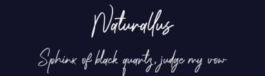 Naturallus by MJB Letters — Script Handwritten Font — thumbnail 2