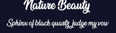 Nature Beauty by Billy Argel Fonts ® — Script Handwritten Font — thumbnail 2