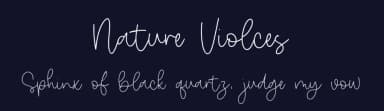 Nature Violces by Letterative Studio — Script Handwritten Font — thumbnail 2