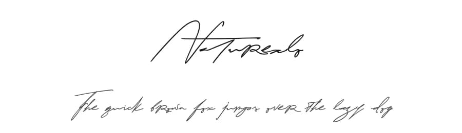 Naturealo by Mozyen Studio — Script Handwritten Font — preview 1