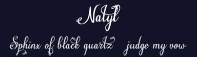 Natyl by Digital Typeface Studio — Script Handwritten Font — thumbnail 2
