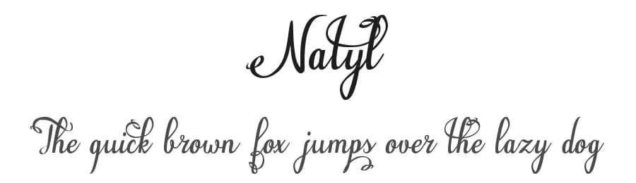 Natyl by Digital Typeface Studio — Script Handwritten Font