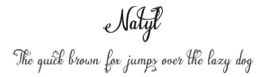 Natyl by Digital Typeface Studio — Script Handwritten Font — thumbnail 1