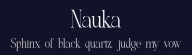 Nauka by Slide Shoot Type — Serif Font — thumbnail 2