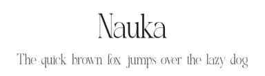 Nauka by Slide Shoot Type — Serif Font — thumbnail 1