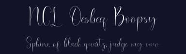 NCL Oesbeq Boopsy by Enxyclo Studio — Script Handwritten Font — thumbnail 2