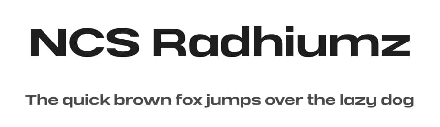 NCS Radhiumz by Namara Creative — Sans Serif Font