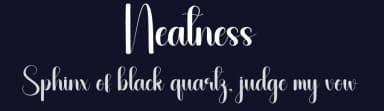 Neatness by Andi Moz — Script Handwritten Font — thumbnail 2