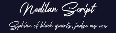 Nedilan Script by Colative Studio — Script Handwritten Font — thumbnail 2