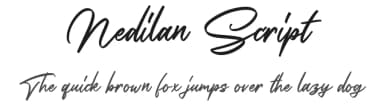Nedilan Script by Colative Studio — Script Handwritten Font — thumbnail 1
