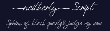 Neitherly Script by Calligraphy Fonts — Script Handwritten Font — thumbnail 2