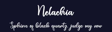 Nelachia by Ditoollis Project — Script Handwritten Font — thumbnail 2