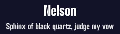 Nelson by Perfectype — Sans Serif Font — thumbnail 2